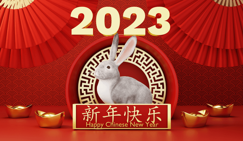 year of the rabbit china