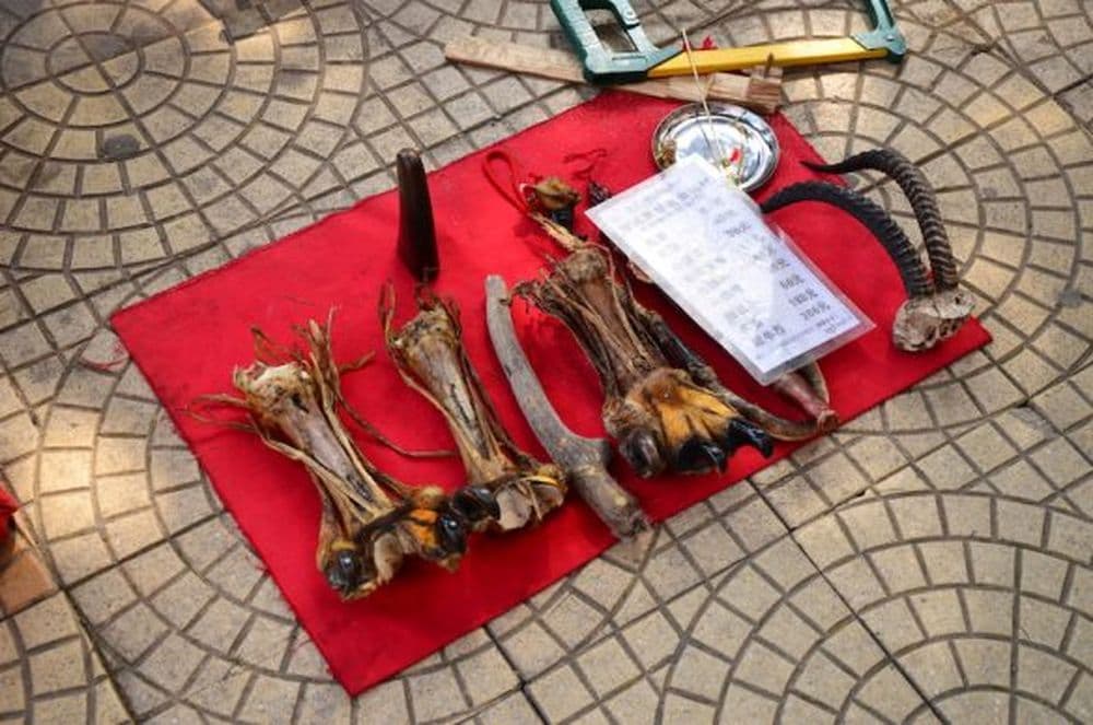 Zweifelhafte Utensilien von TCM