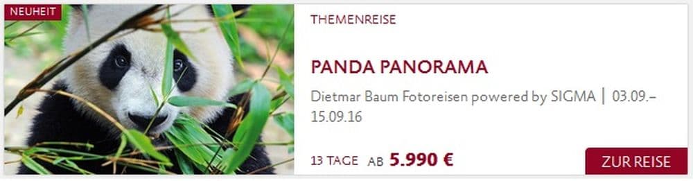 panda panorama