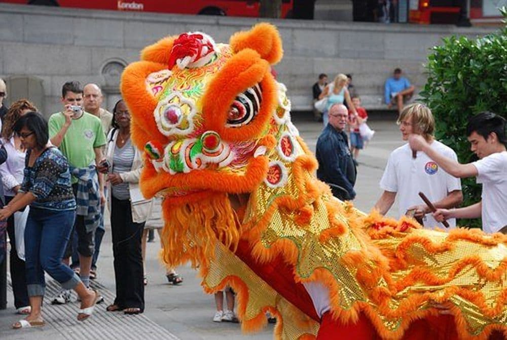 Drache, Chinesisch, Festival, Kostüm