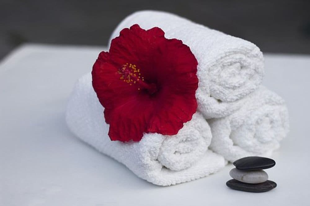 Handtuch, Hibiskus, Sauber, Pflege