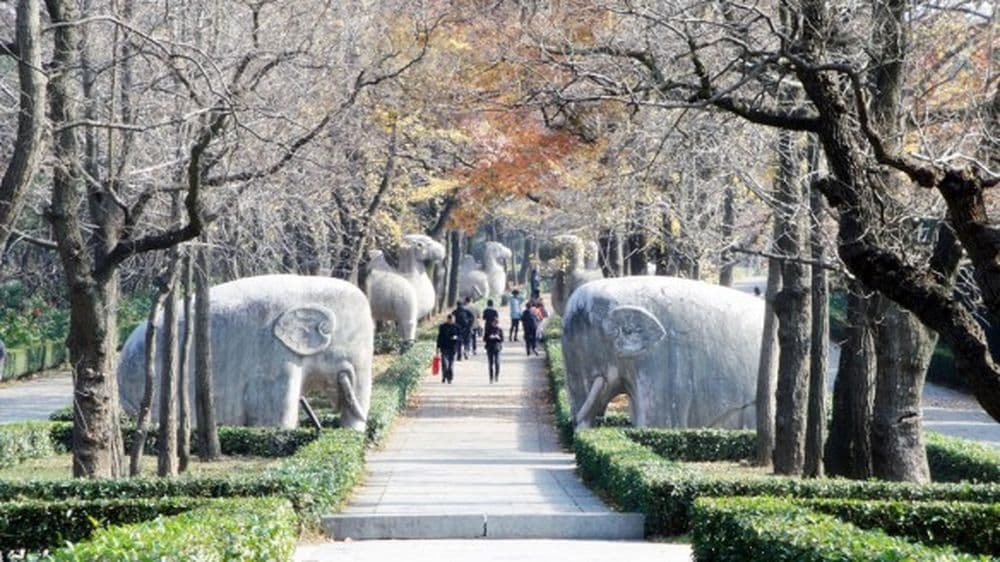 Allee zum Grab von Hongwu