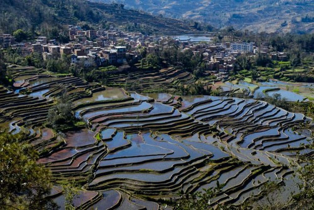 Yuanyang Terrassen
