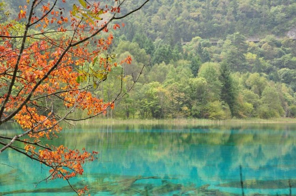 Alpinsee im Jiuzhaigou Nationalpark