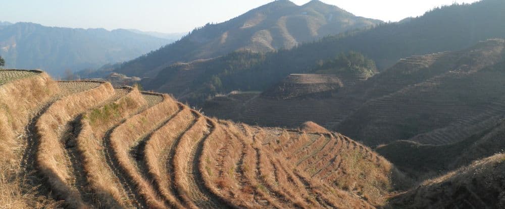 Landschaftliche Idylle in den Reisterrassen.