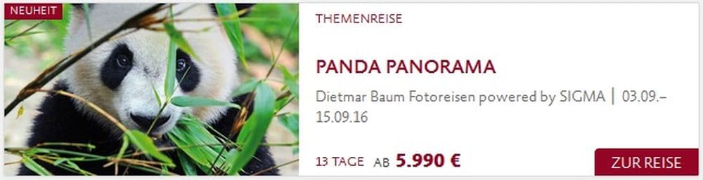 panda panorama