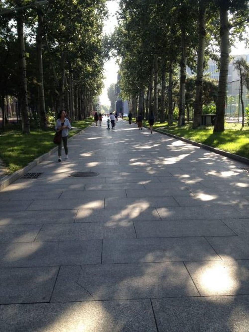 Auf dem BFSU Campus bietet die Allée zwischen den Sportplätzen erholsamen Schatten während heißen Sommertagen