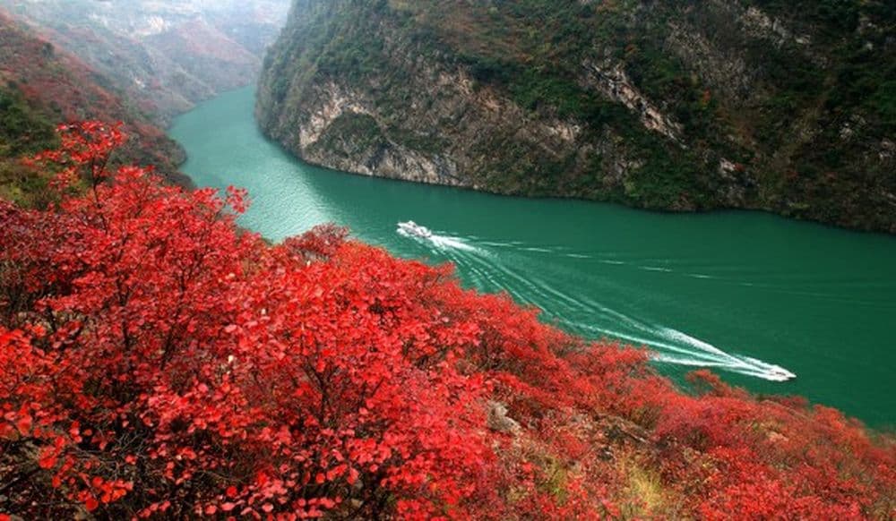 Yangtze