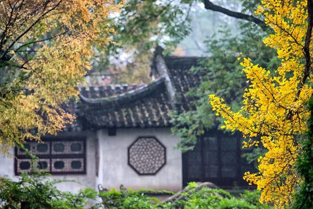 Chinesischer Garten bei Regen