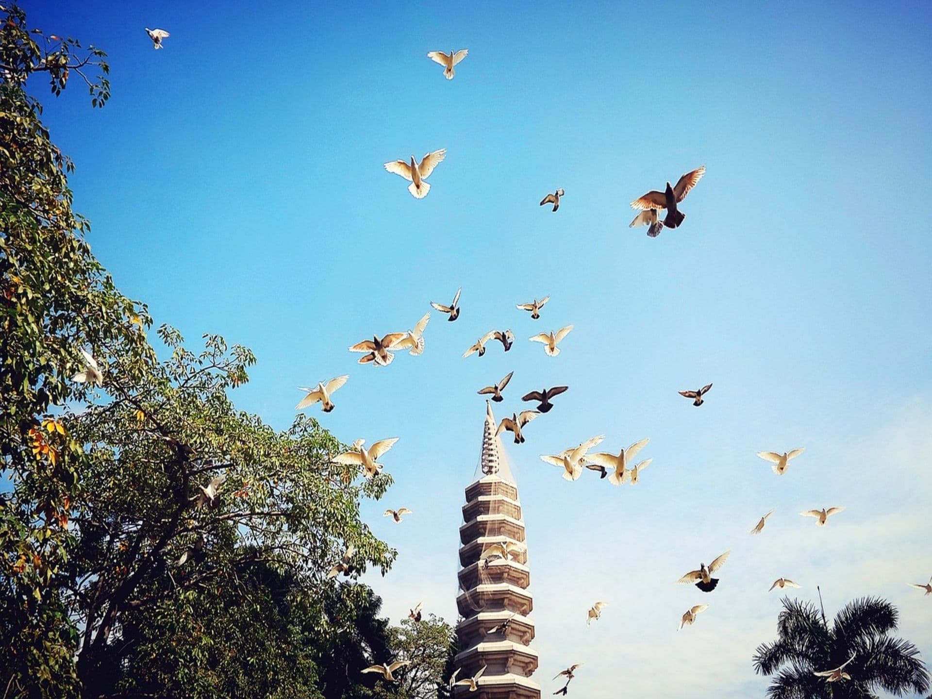 Top 7 Sehenswürdigkeiten in Xiamen