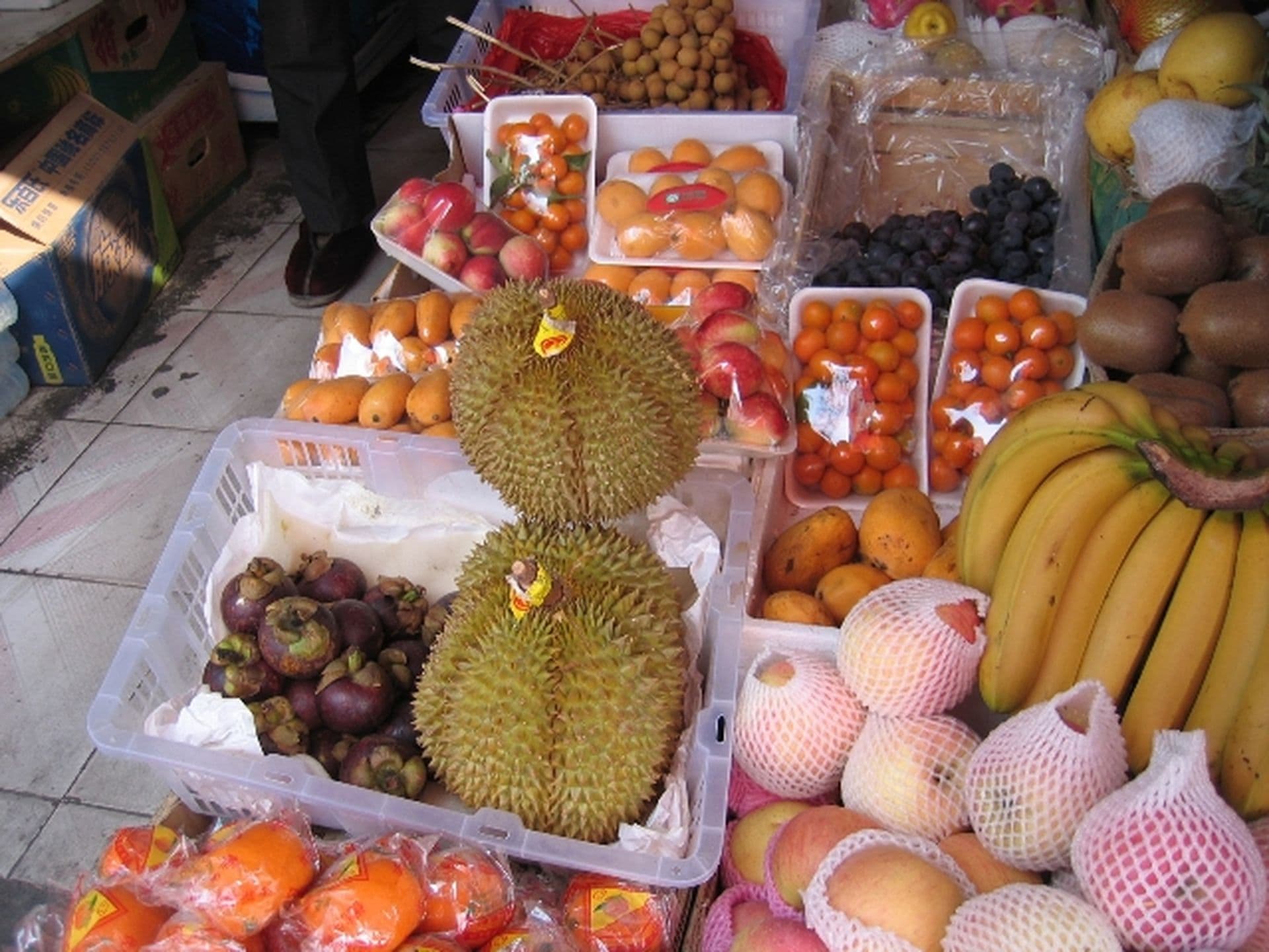 Taiwan mit allen Sinnen: Im Königreich der Früchte