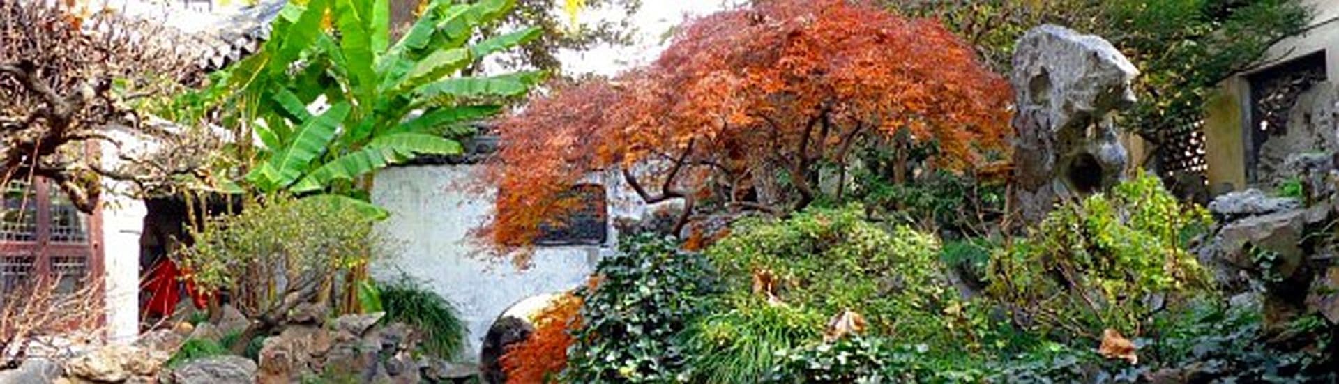 Natur pur in Shanghai