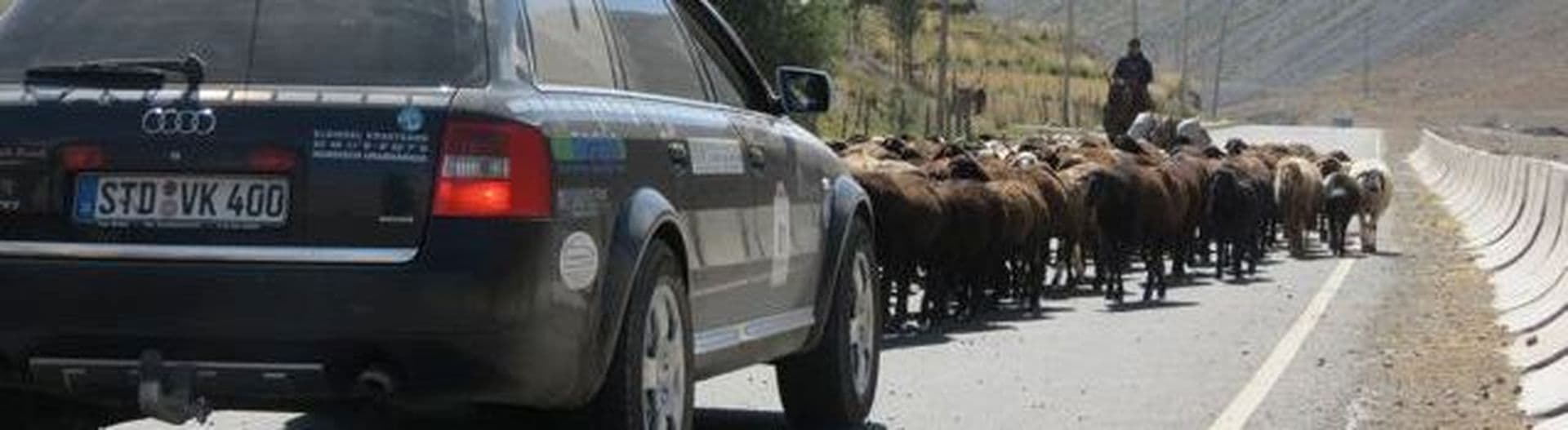 New Silk Road Tag 29 von Osh nach Sary-Tash: Schafe und Serpentinen in Kirgistan