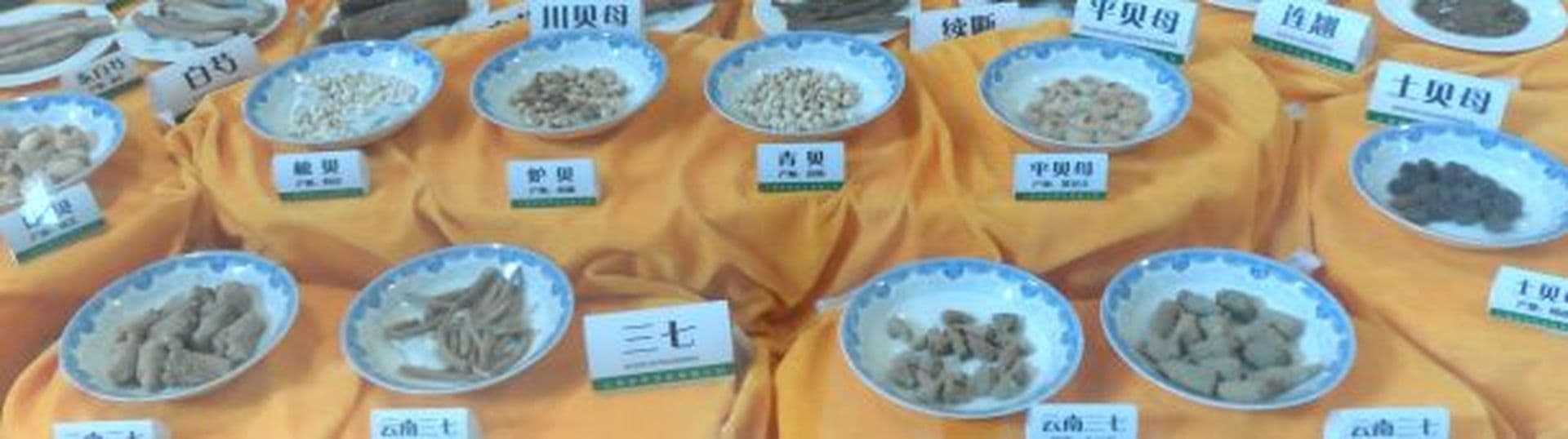 Auf den Spuren der traditionellen chinesischen Medizin