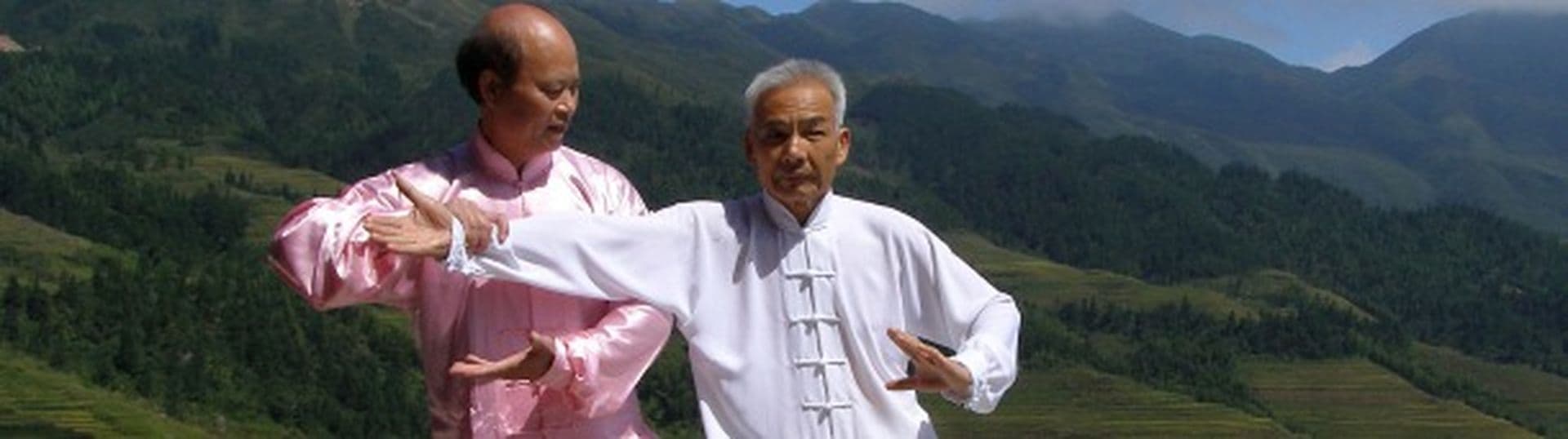 Begrifferklärungen zu TCM und Taiji