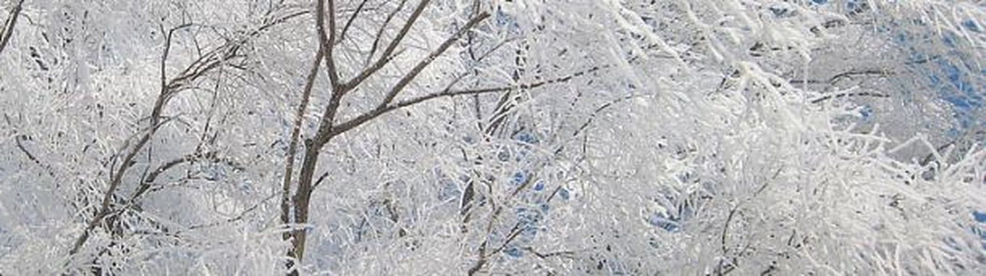 Ab in den Norden - China lockt mit Winterlandschaften