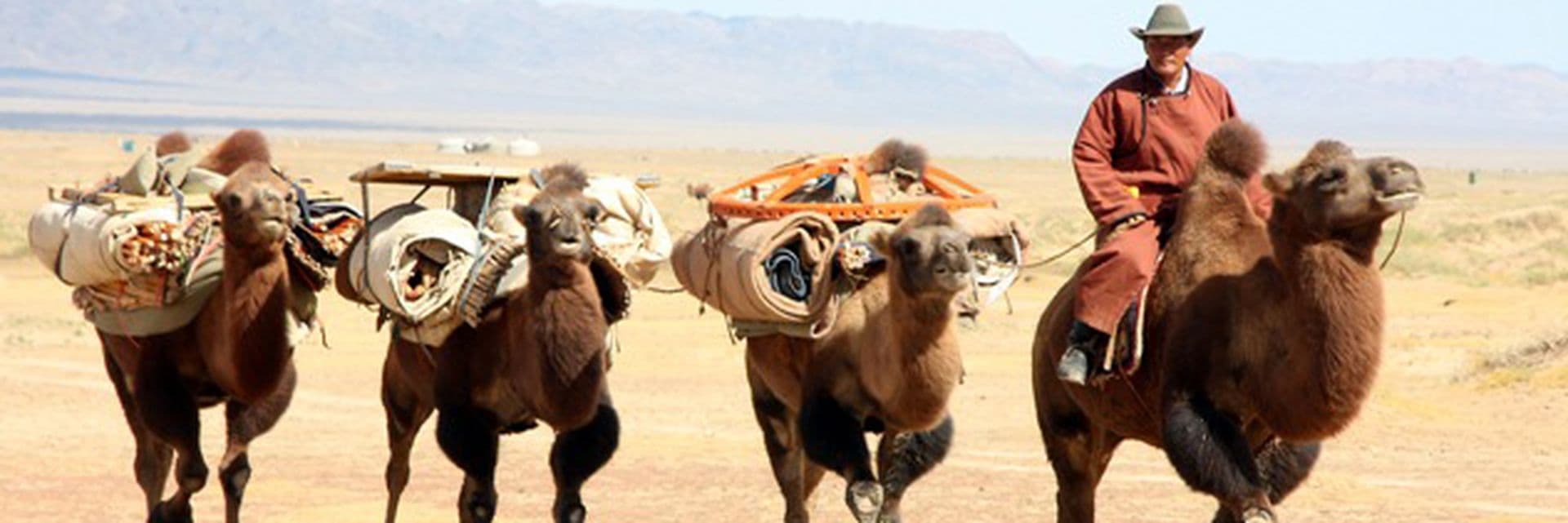Aus der Mongolei über Taiwan und Henan bis hoch nach Tibet – China Tours intensiv