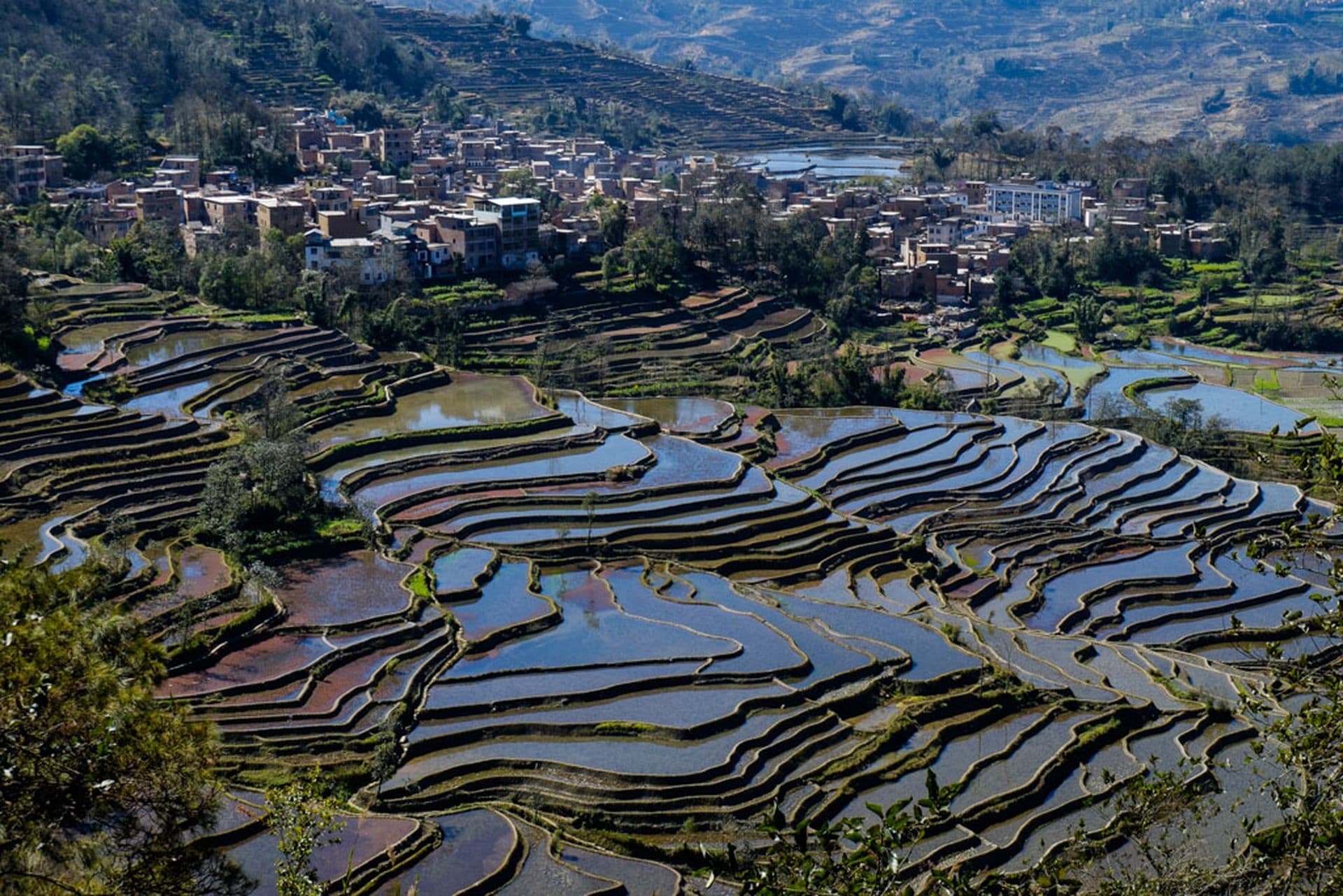 Die Reisterrassen von Yuanyang