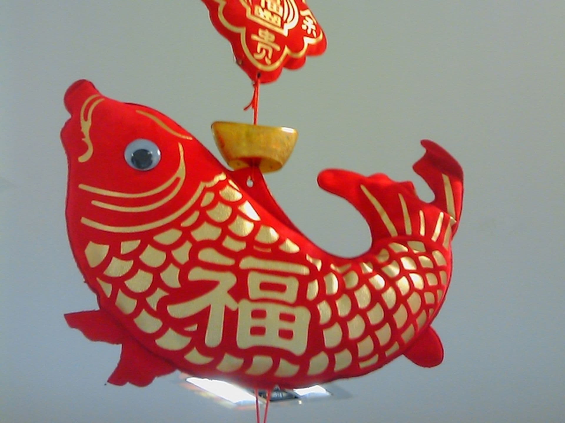 Vorfreude auf das Neujahrsfest vor Ort in China