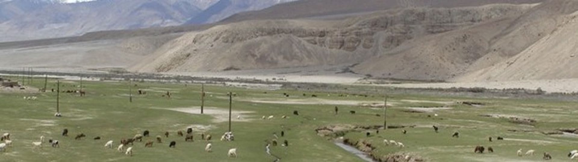Film-Tipp: Im Steppenwind-Nuomin He, der fliegende mongolische Fotograf