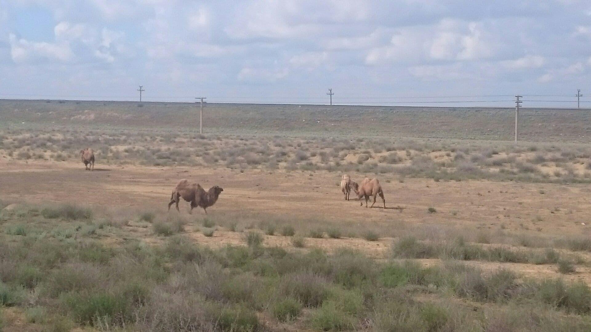 New Silk Road Modern 2016: Tag 11-13 Atyrau-Jazliq-Khiva-Buchara