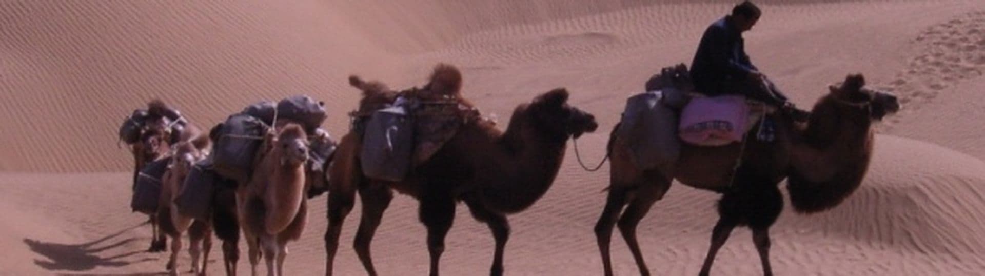 Die besten Reiseberichte- Noch bis zum 20.11.2011 mit abstimmen!
