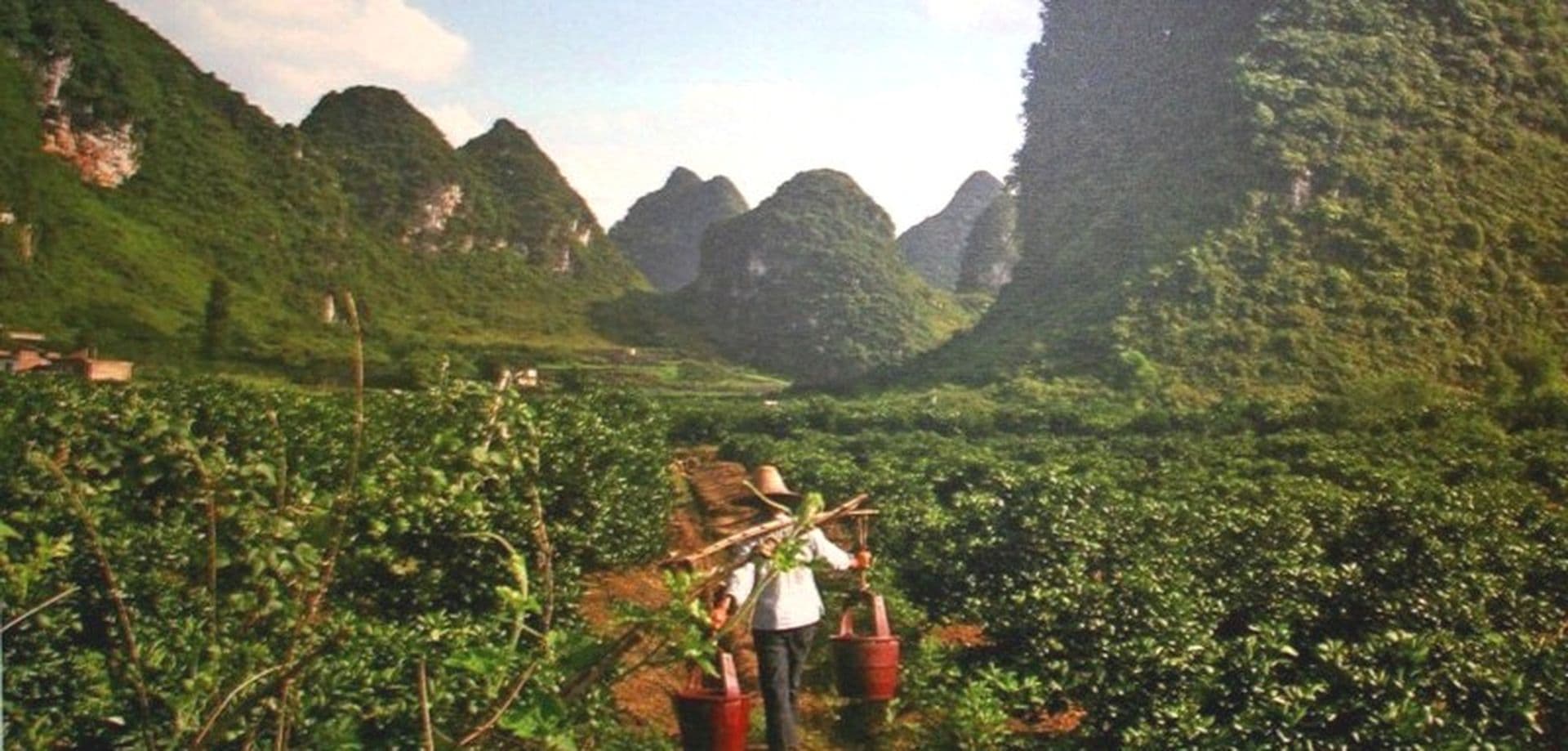 April Gewinnspiel: 3 x 1 Leinwand "chinesische Alltagssituationen"