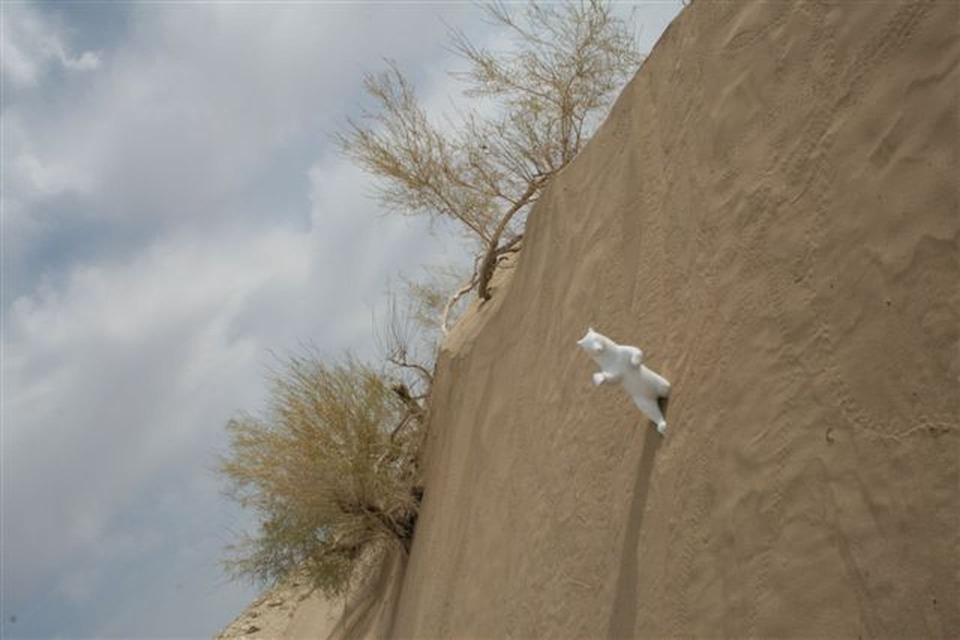 New Silk Road Rallye Berlin-Peking 2014: Fergana-Osh