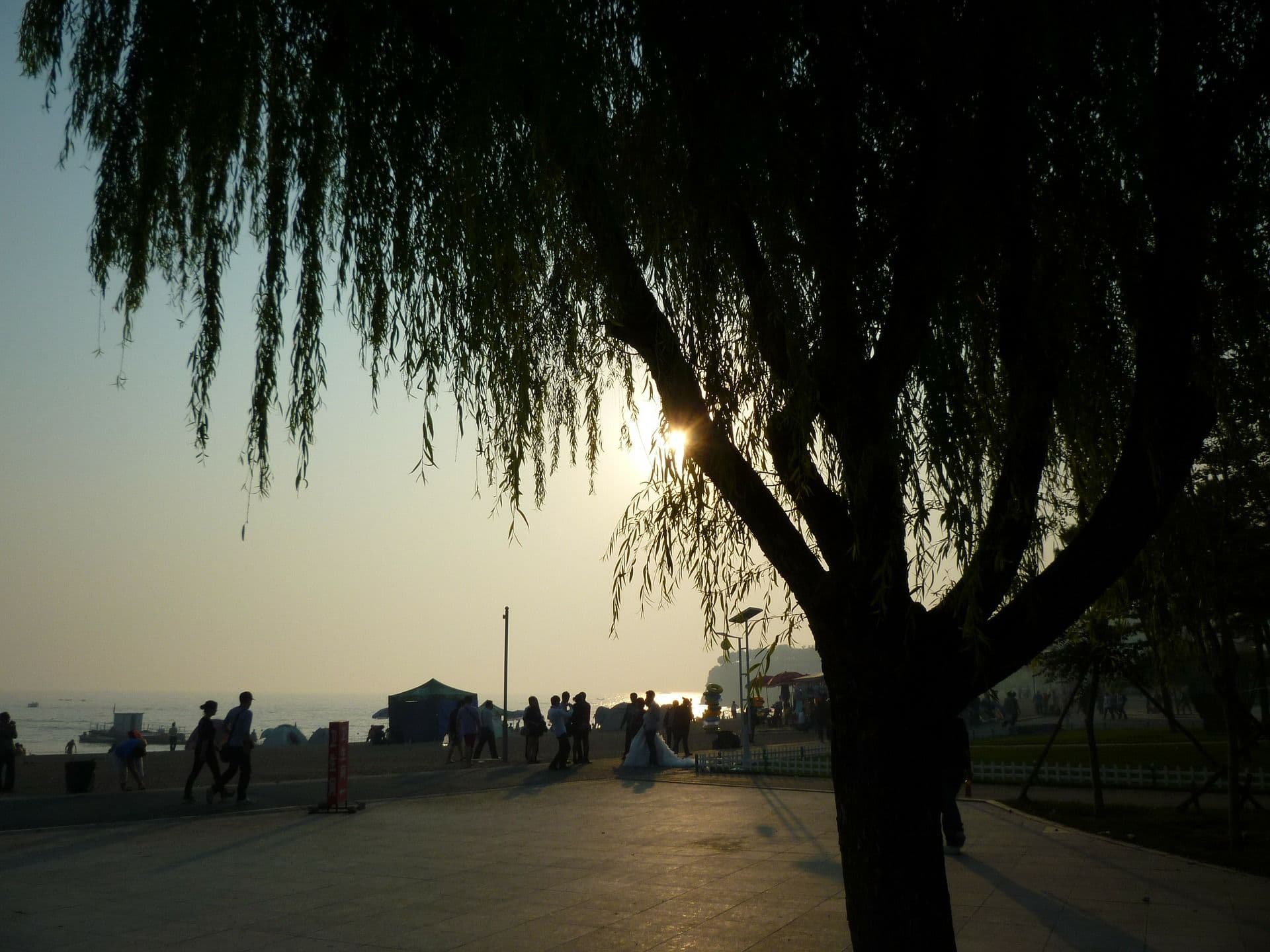 Liaoning - Zwischen Mauer und Strand