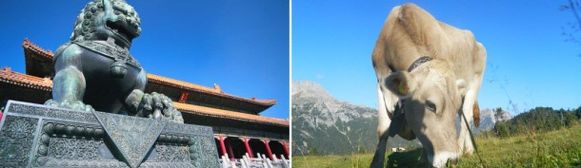 Europa vs. Asien – wohin geht’s als nächstes?