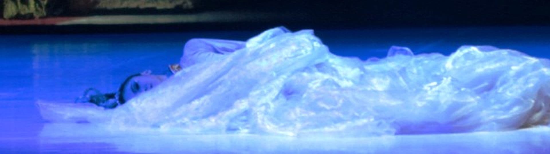 Die Geschichte der Seide Teil 1 – Die Eroberung der Welt