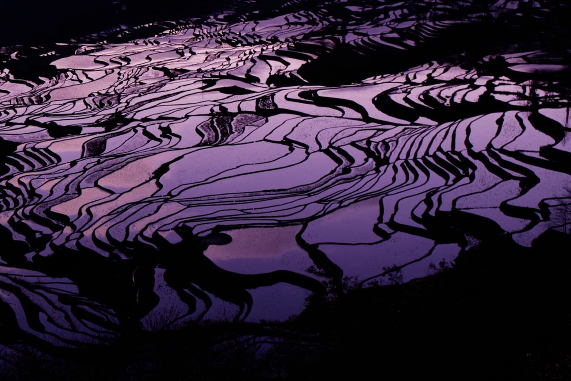 Die wunderschönen Reisterrassen von Yuanyang
