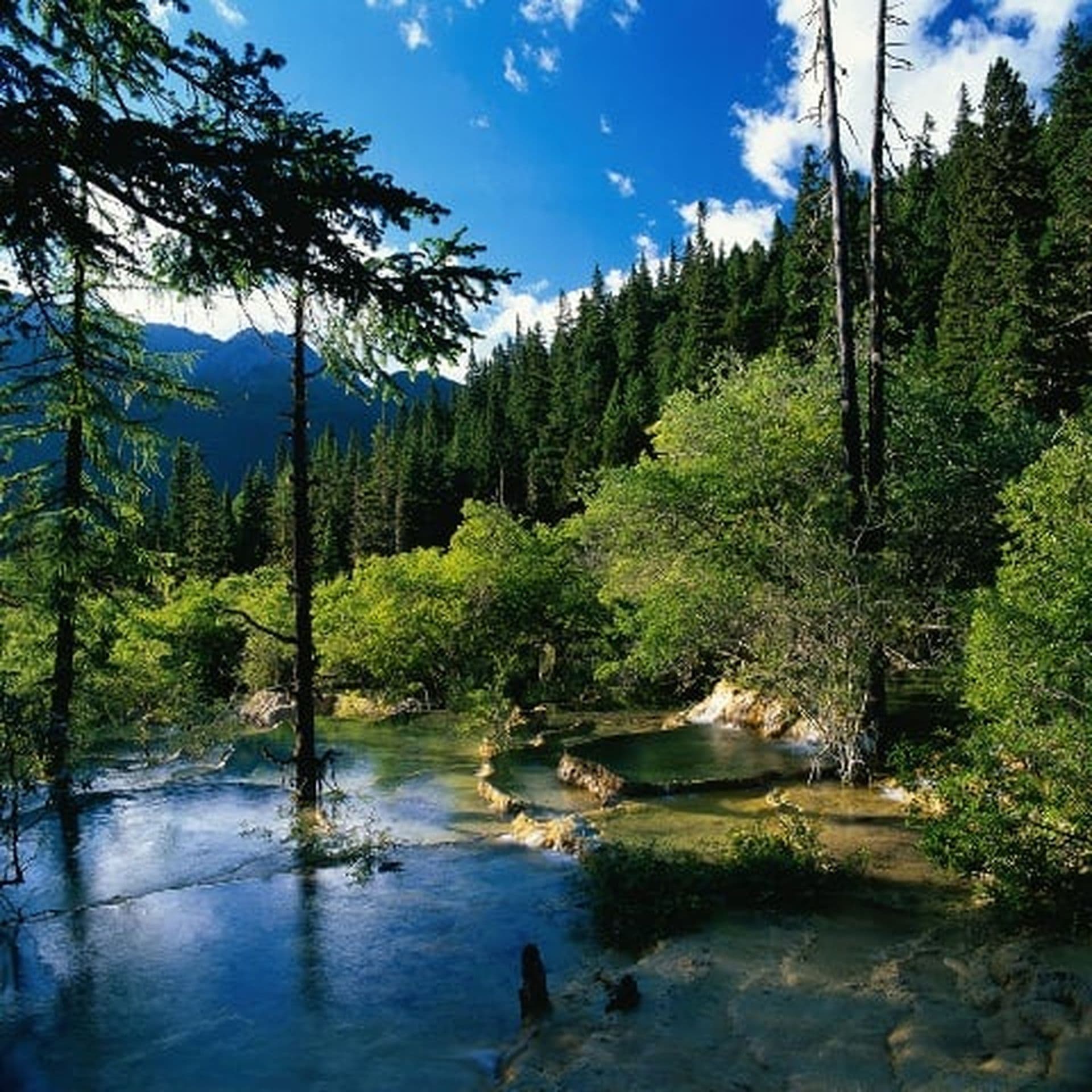 Chinas TOP 5 Naturschutzgebiete