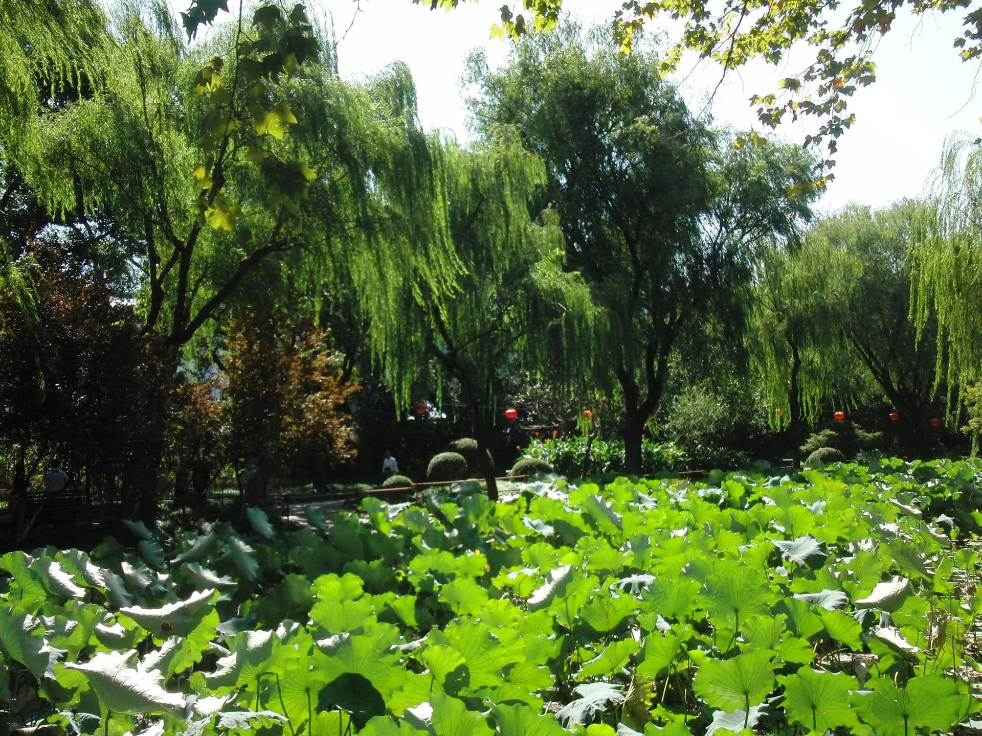 Schanghai