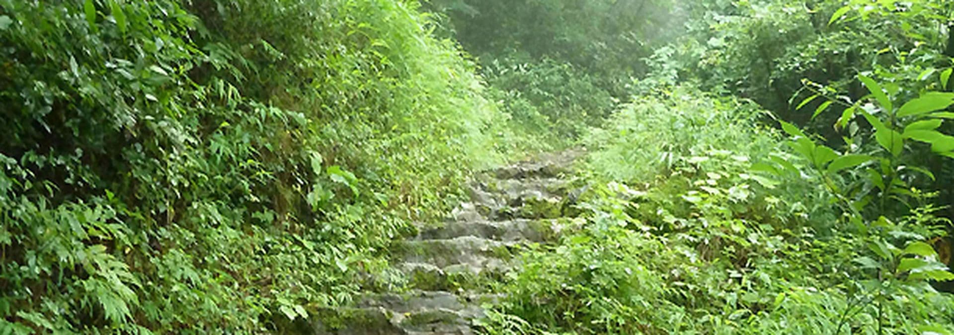 China in Farbe: Grün