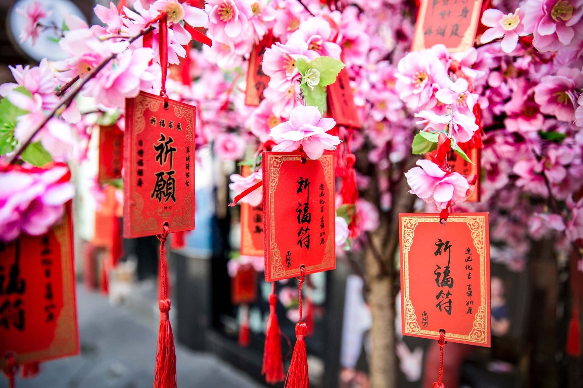 Souvenirs mal anders: Diese Andenken bringen China zu Ihnen nach Hause
