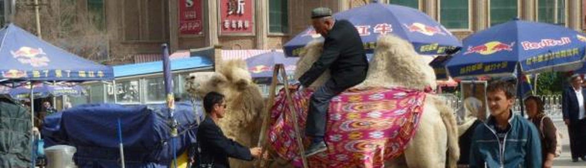New Silk Road: Unser erster Tag in China – Team 5 berichtet