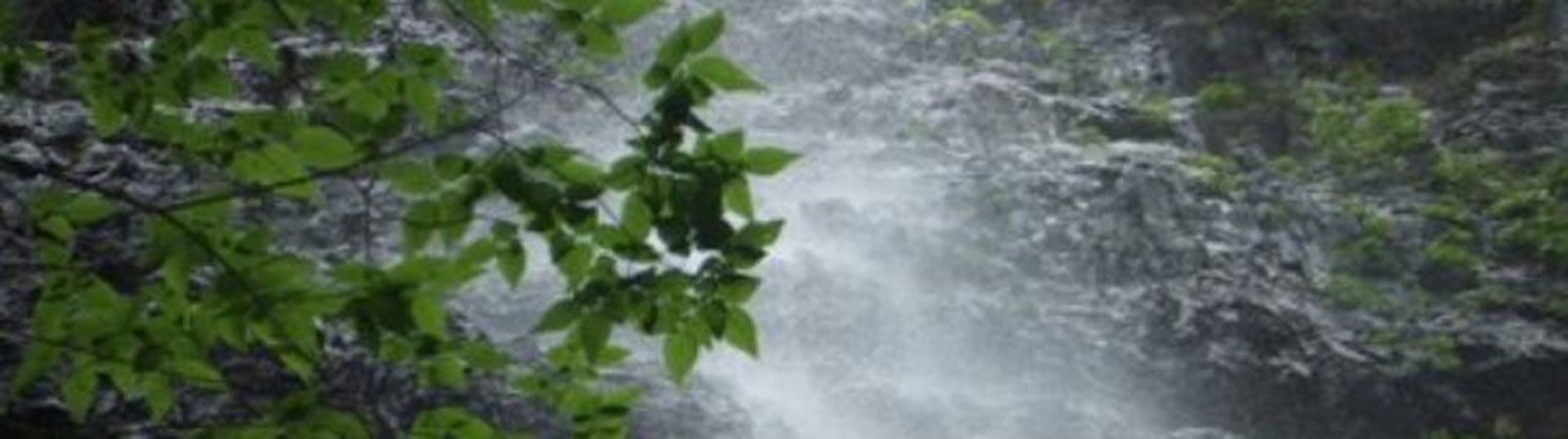 Bailixia-Schlucht: Ein Tag im Paradies