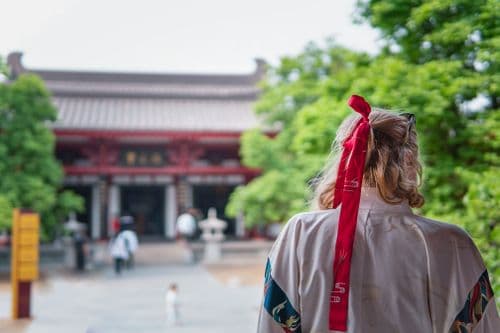 Beijing Traveller