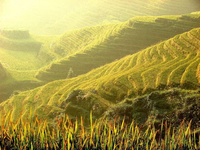 Eine Erlebniswanderung durch die Reisterrassen von Longji
