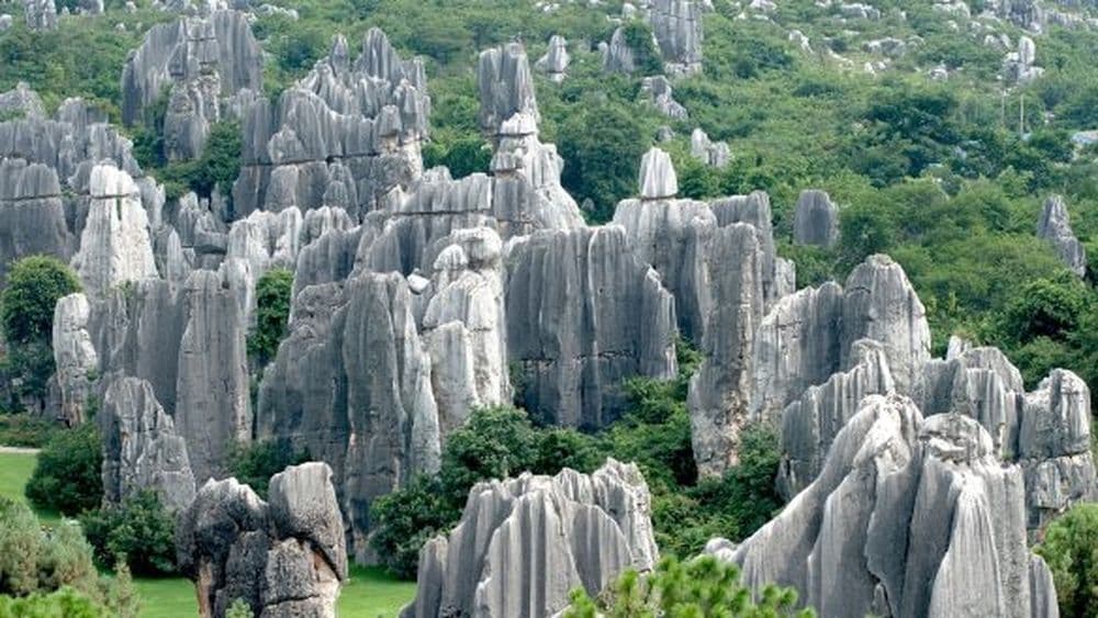 Der Steinwald in Kunming begeistert mit seiner Einzigartigkeit