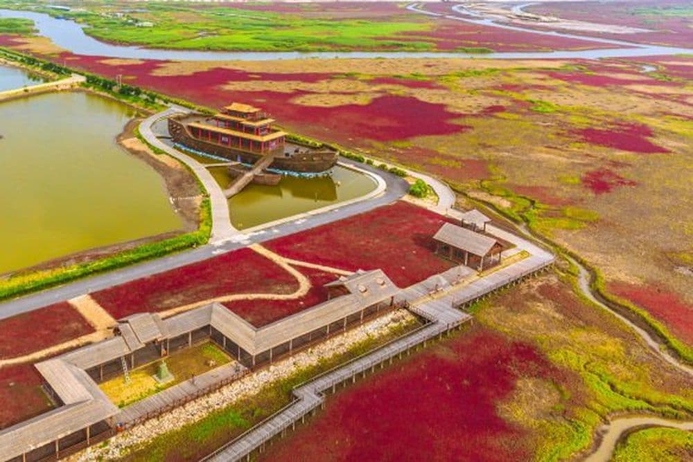 panjing-roter-strand-shutterstock_382151881