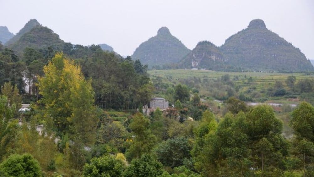 Tag 3 Shuangru Feng (2)