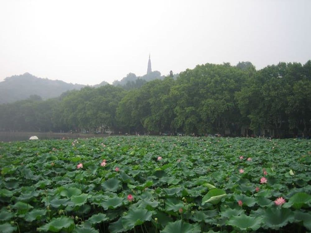 Eine Landschaft wie in einem Gemälde: der Westsee in Hangzhou