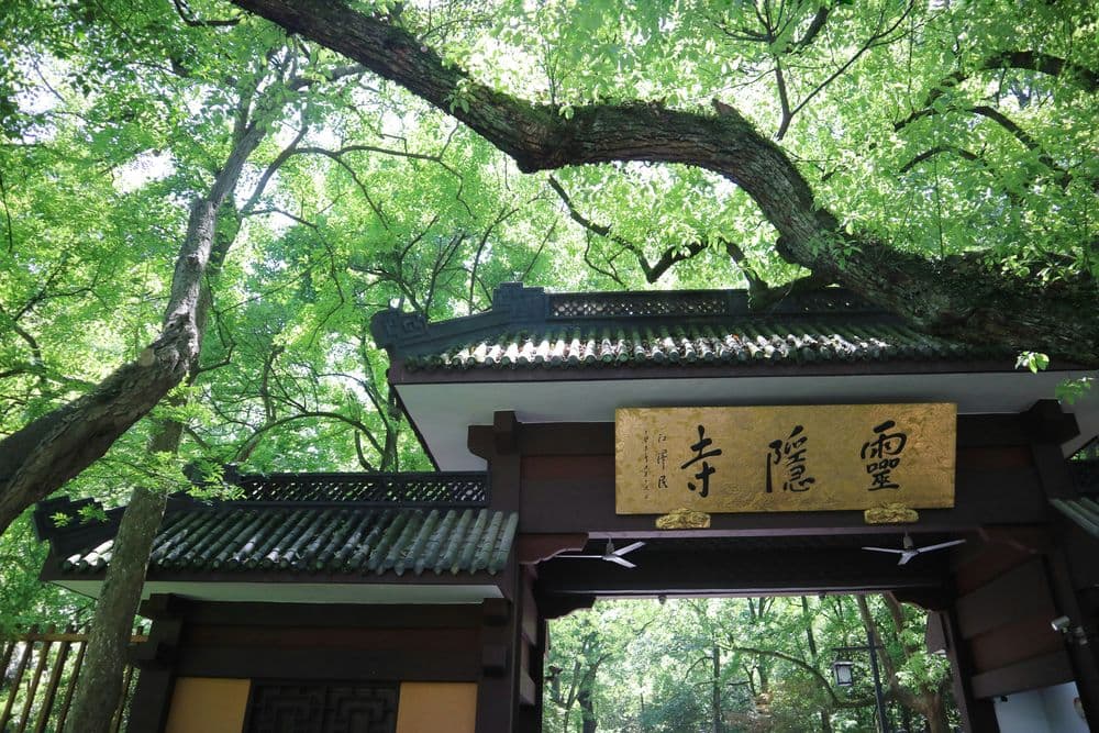 hongtong-lin-pmjfybO3ikA-unsplash