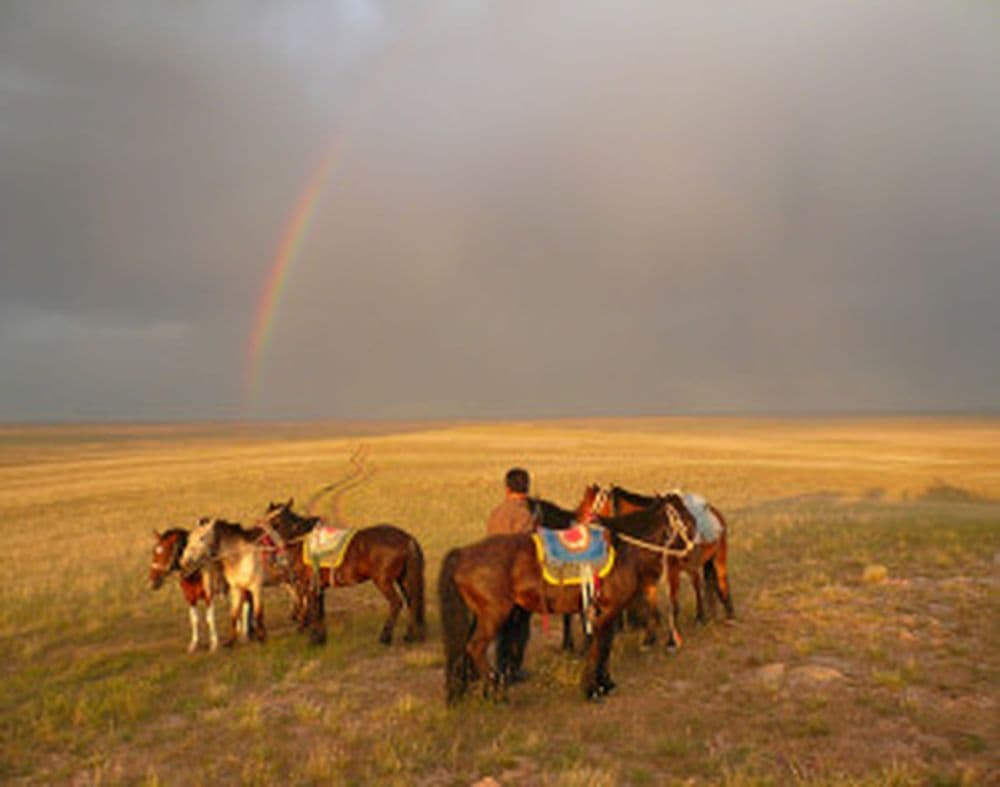 Die Graslandschaft in Hohhot