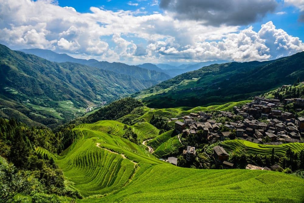 Zweiter Platz: Longsheng Reisterrassen im Sommer – Franziska Bichler