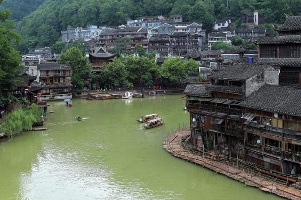 Fenghuang in sattem Grün