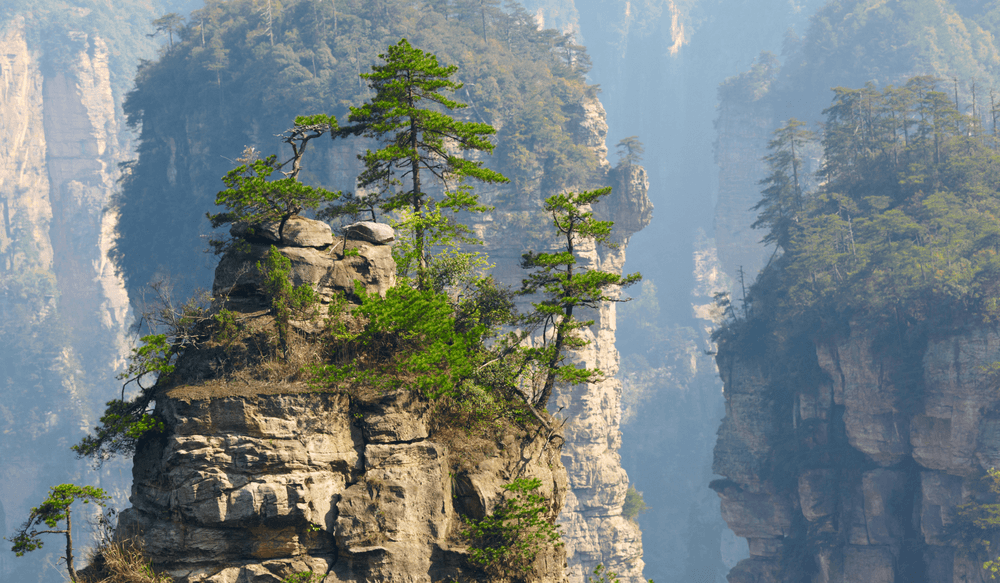 CTH_BLOG_08.25_CANVA_Zhangjiajie pine trees on rock pillar