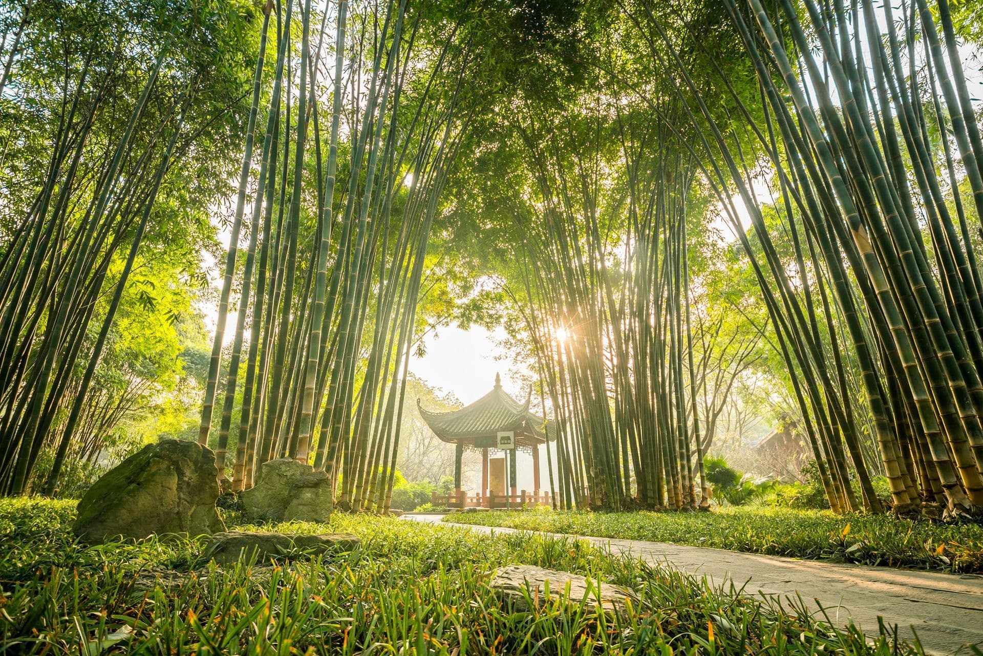 Die Highlights von Chengdu für einen perfekten Tag